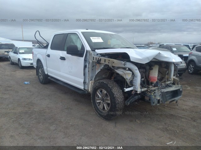 FORD F-150 2019 1ftew1e48kkc33931