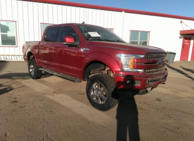 FORD F-150 2019 1ftew1e48kkc60613