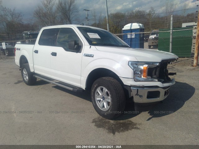 FORD F-150 2019 1ftew1e49kfb18456