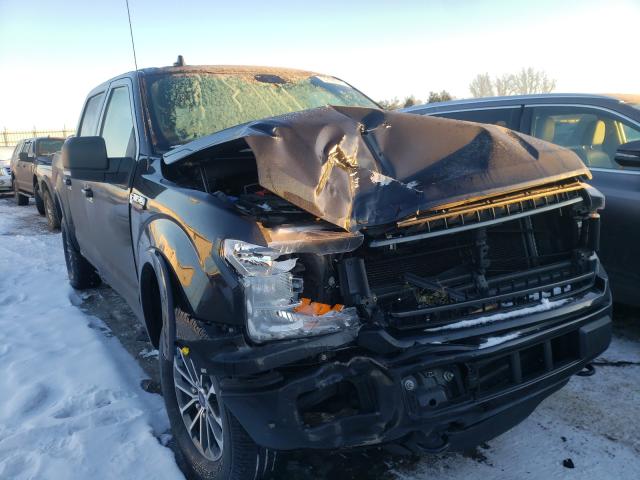 FORD F150 SUPER 2019 1ftew1e49kfb90015