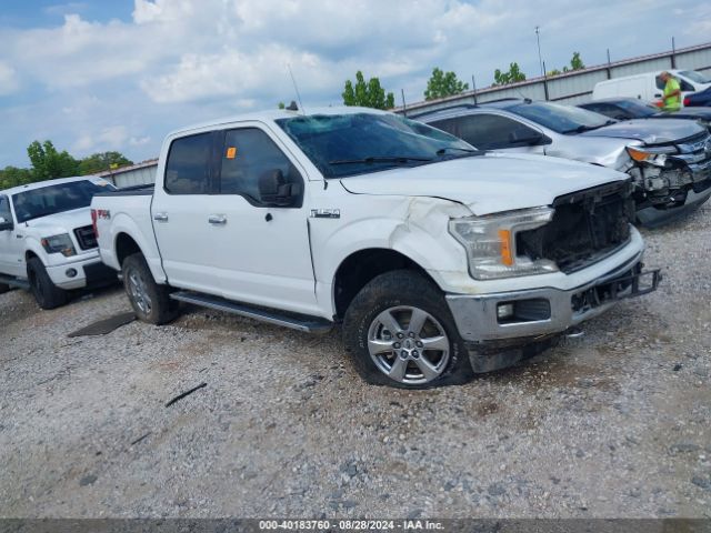 FORD F-150 2019 1ftew1e49kfc29508