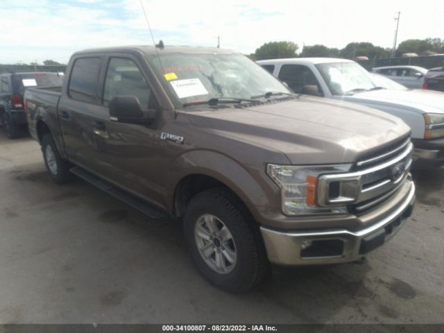 FORD F-150 2019 1ftew1e49kkc55775