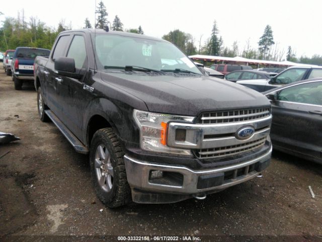 FORD F-150 2019 1ftew1e4xkfa85239