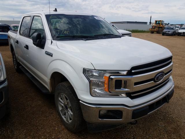 FORD F150 SUPER 2019 1ftew1e50kfa46670