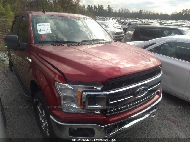 FORD F-150 2019 1ftew1e51kfd07756