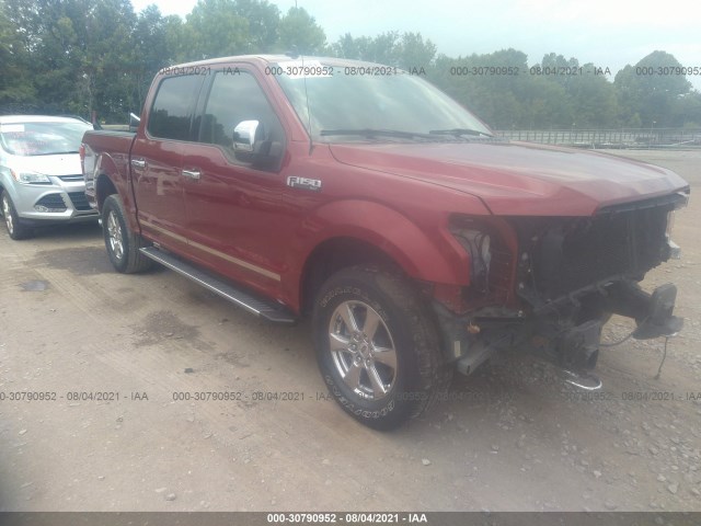 FORD F-150 2019 1ftew1e51kkd94436