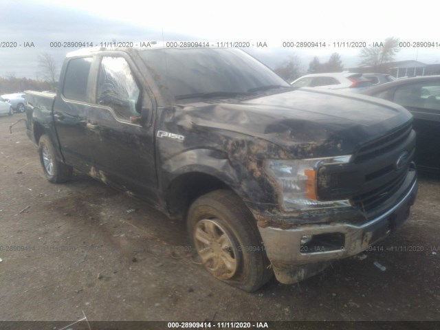 FORD F-150 2019 1ftew1e52kfa36979