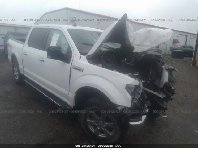 FORD F-150 2019 1ftew1e53kfb48321