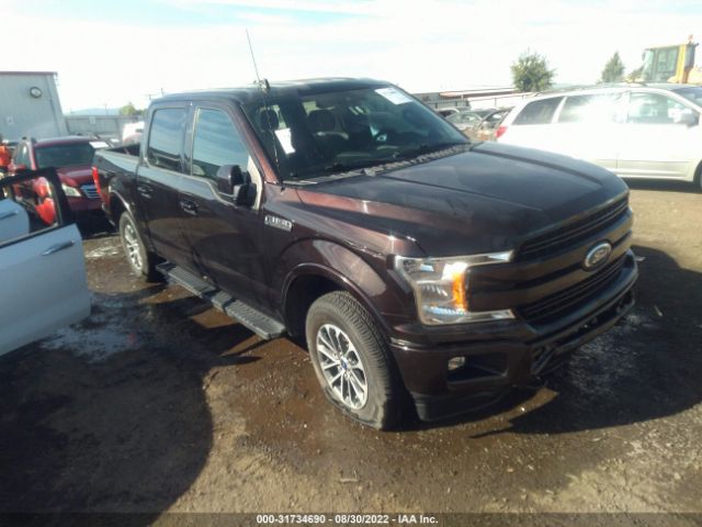 FORD F-150 2019 1ftew1e54kfb60347