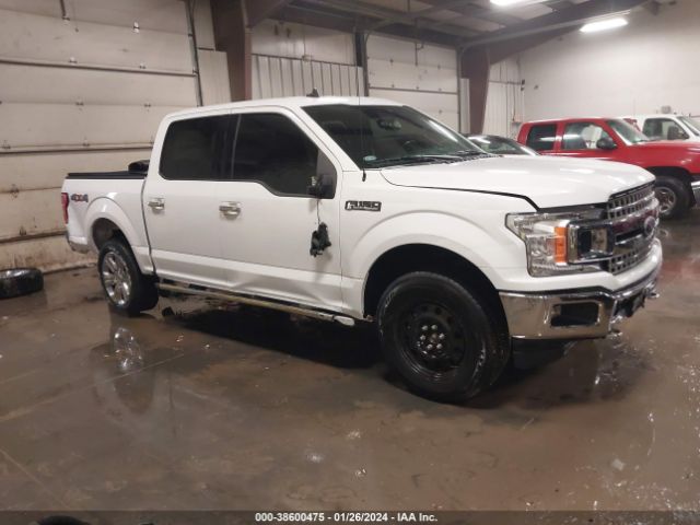 FORD F-150 2019 1ftew1e55kkd55963