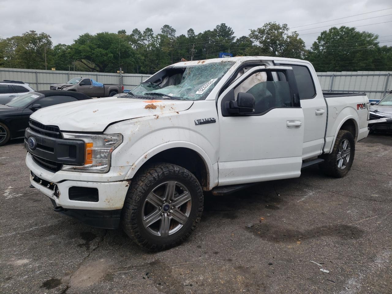 FORD F-150 2019 1ftew1e56kfa78300