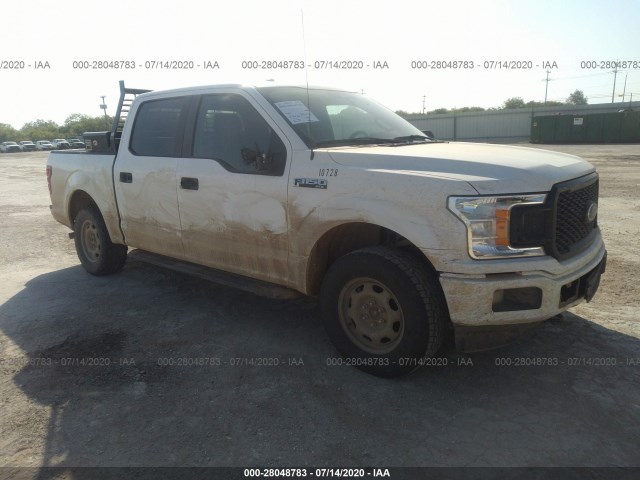 FORD F-150 2019 1ftew1e56kkc67388