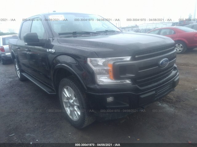 FORD F-150 2018 1ftew1e57jfb24702