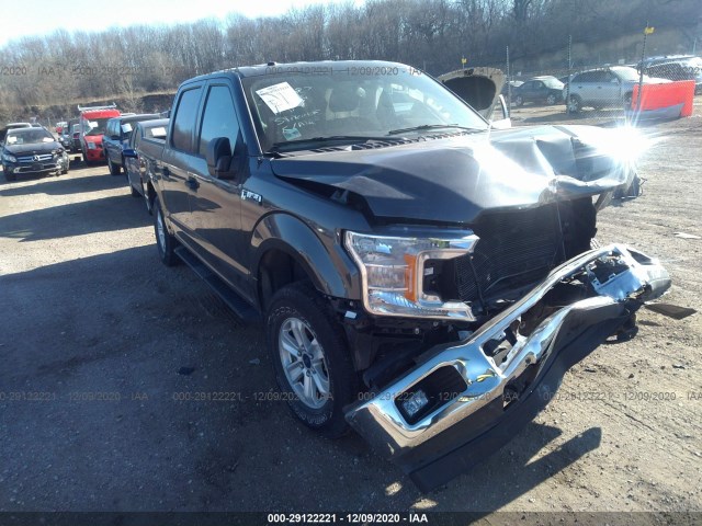 FORD F-150 2018 1ftew1e57jfb33559