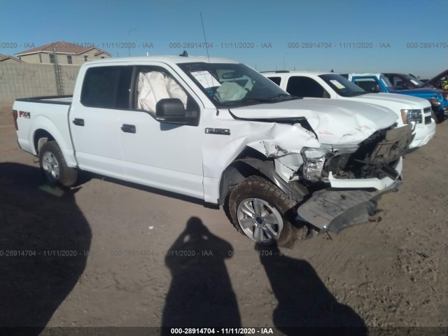 FORD F-150 2019 1ftew1e59kkd00433