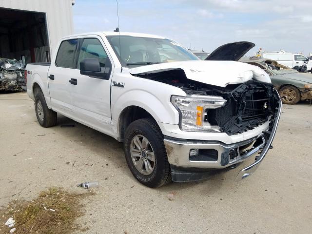 FORD F150 SUPER 2019 1ftew1e5xkkc52117