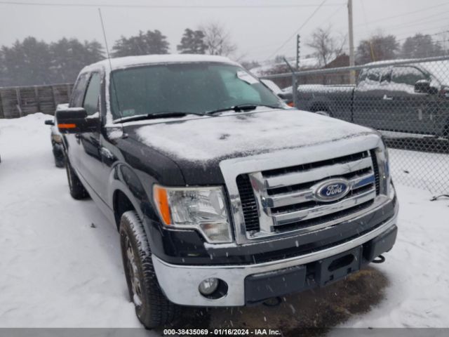 FORD F-150 2010 1ftew1e80afa57709