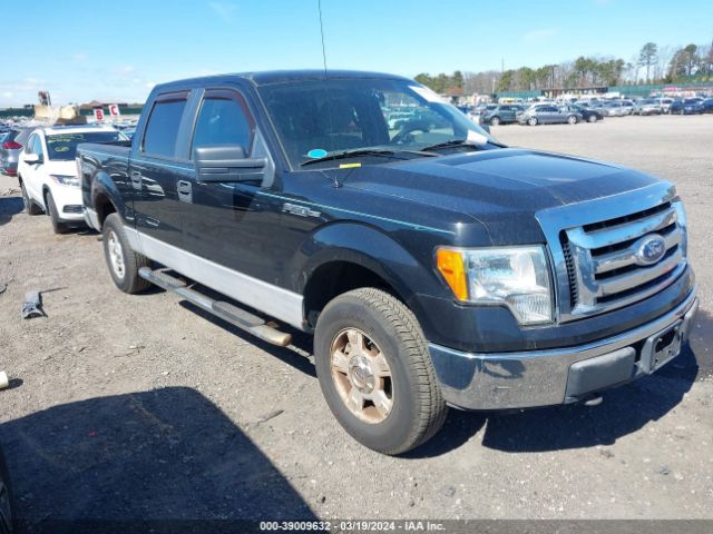 FORD F150 2010 1ftew1e80afa90449