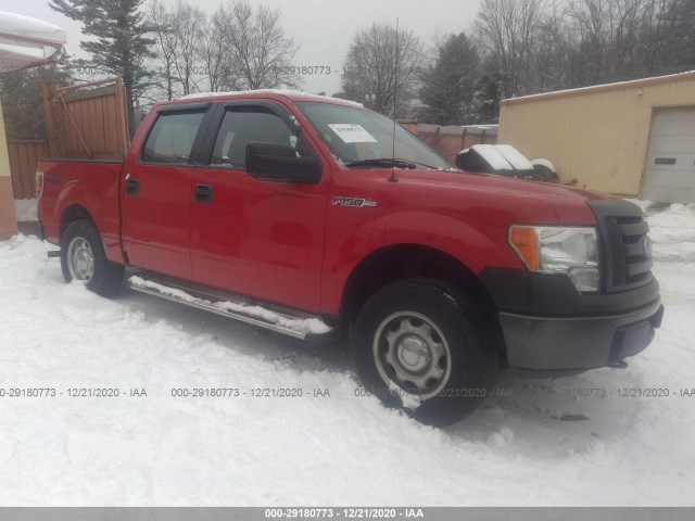 FORD F-150 2010 1ftew1e80afb25829