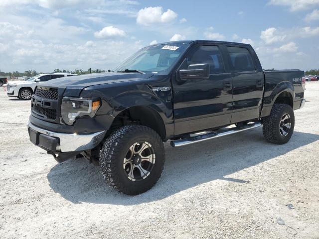 FORD F150 SUPER 2010 1ftew1e80afb25913