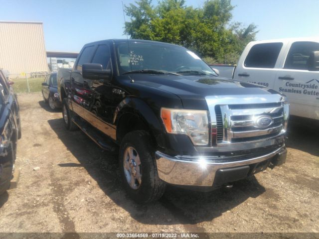 FORD F-150 2010 1ftew1e80afb25930