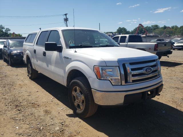 FORD F150 SUPER 2010 1ftew1e80afc36798