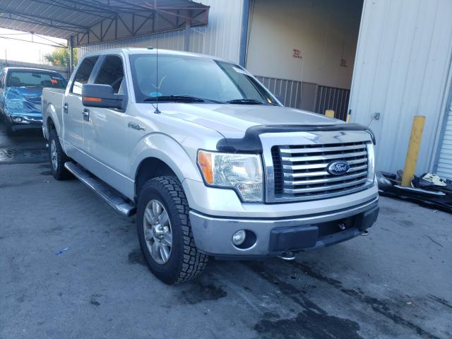 FORD F150 SUPER 2010 1ftew1e80afc49485