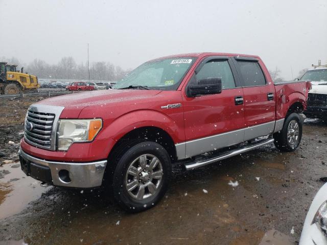 FORD F150 SUPER 2010 1ftew1e80afc64438