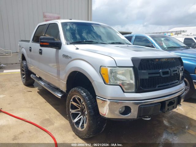 FORD F-150 2010 1ftew1e80afc90764