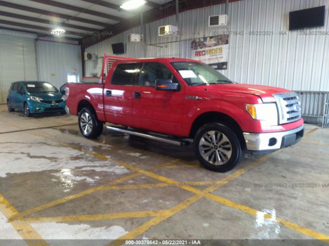 FORD F-150 2010 1ftew1e80afc97018