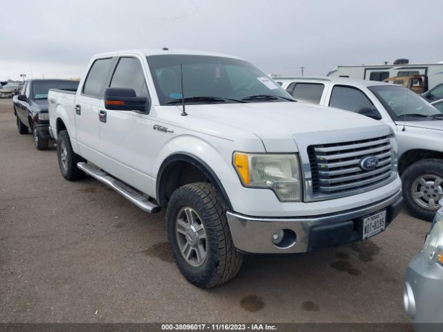 FORD F-150 2010 1ftew1e80afc97200