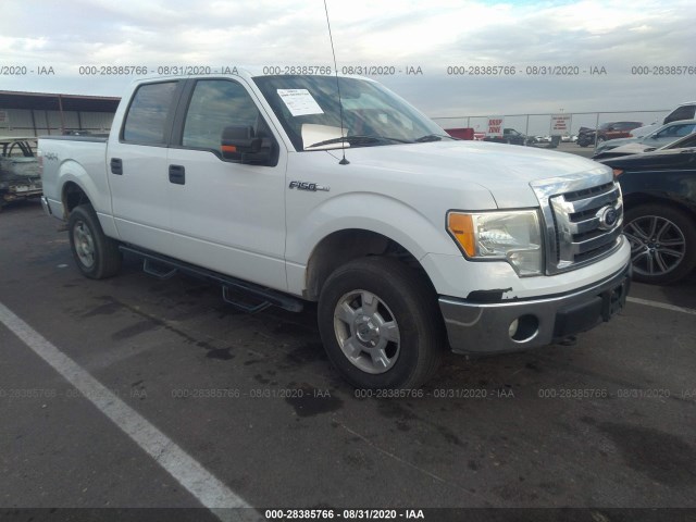 FORD F-150 2010 1ftew1e80afd05263