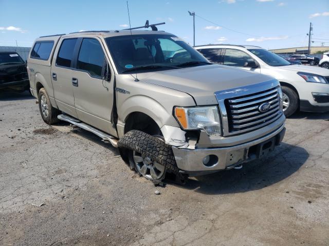 FORD F150 SUPER 2010 1ftew1e80afd10432