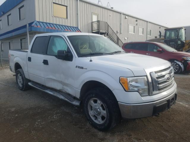 FORD F150 SUPER 2010 1ftew1e80afd18384