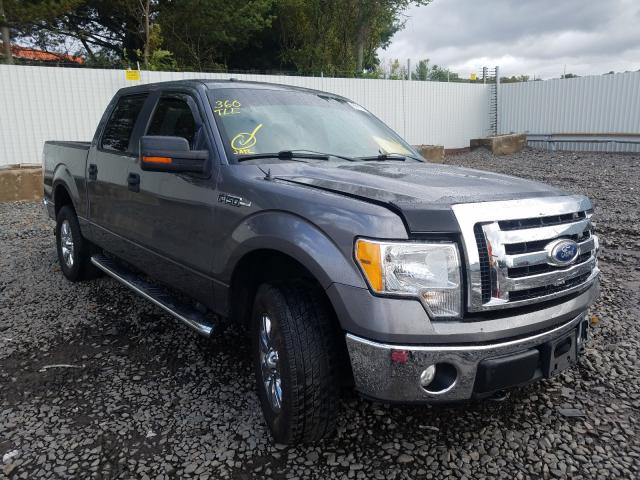 FORD F150 SUPER 2010 1ftew1e80afd85342