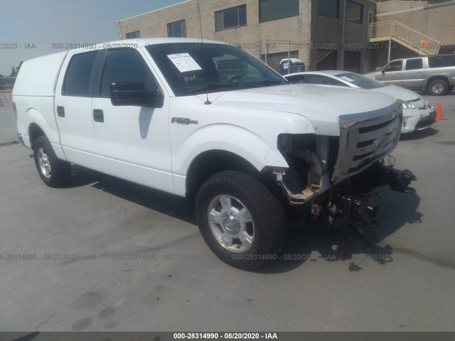 FORD F-150 2010 1ftew1e80aka20392