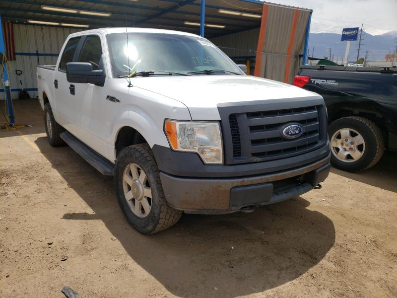 FORD F150 SUPER 2010 1ftew1e80akc38204