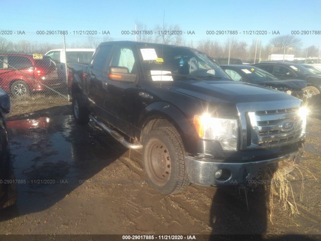 FORD F-150 2010 1ftew1e80ake61519