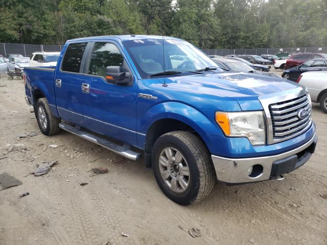 FORD F150 SUPER 2010 1ftew1e81afa21706