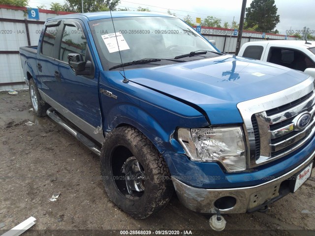 FORD F-150 2010 1ftew1e81afa40224