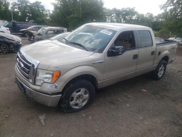 FORD F150 SUPER 2010 1ftew1e81afa61171