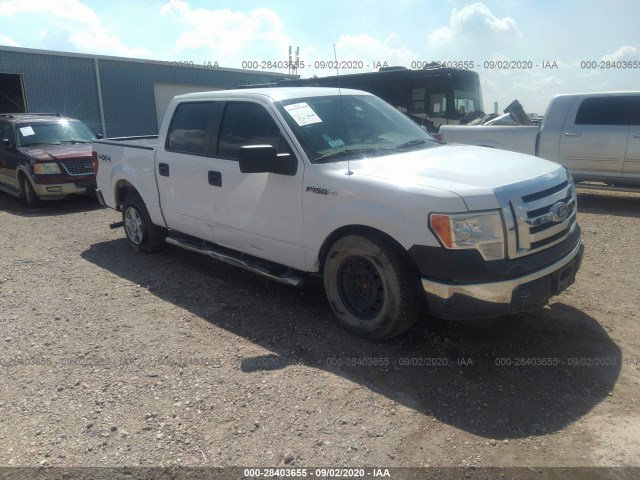 FORD F-150 2010 1ftew1e81afa85695