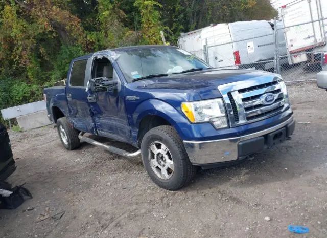 FORD F-150 2010 1ftew1e81afb20736