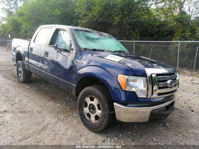 FORD F-150 2010 1ftew1e81afb34121