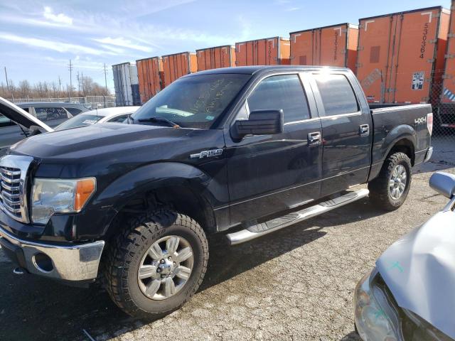 FORD F-150 2010 1ftew1e81afc84570