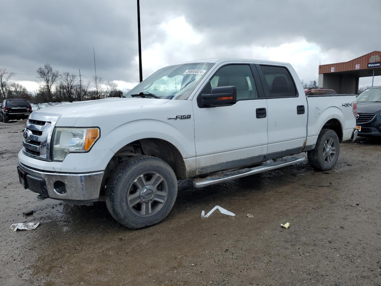 FORD F-150 2010 1ftew1e81afd05613