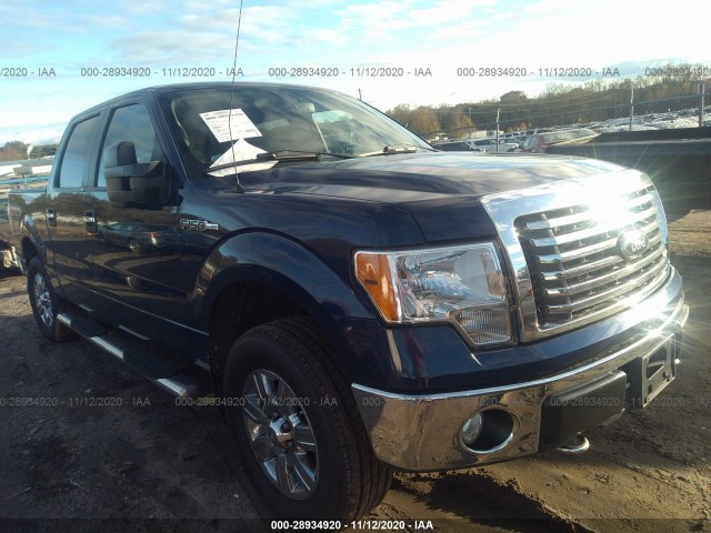 FORD F-150 2010 1ftew1e81afd70803