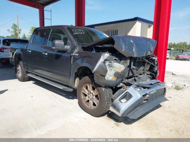 FORD F-150 2015 1ftew1e81ffa55636