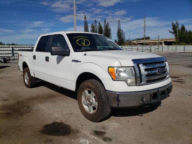 FORD F-150 2010 1ftew1e82afa71420