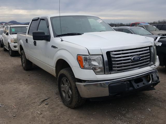 FORD F150 SUPER 2010 1ftew1e82afa89481